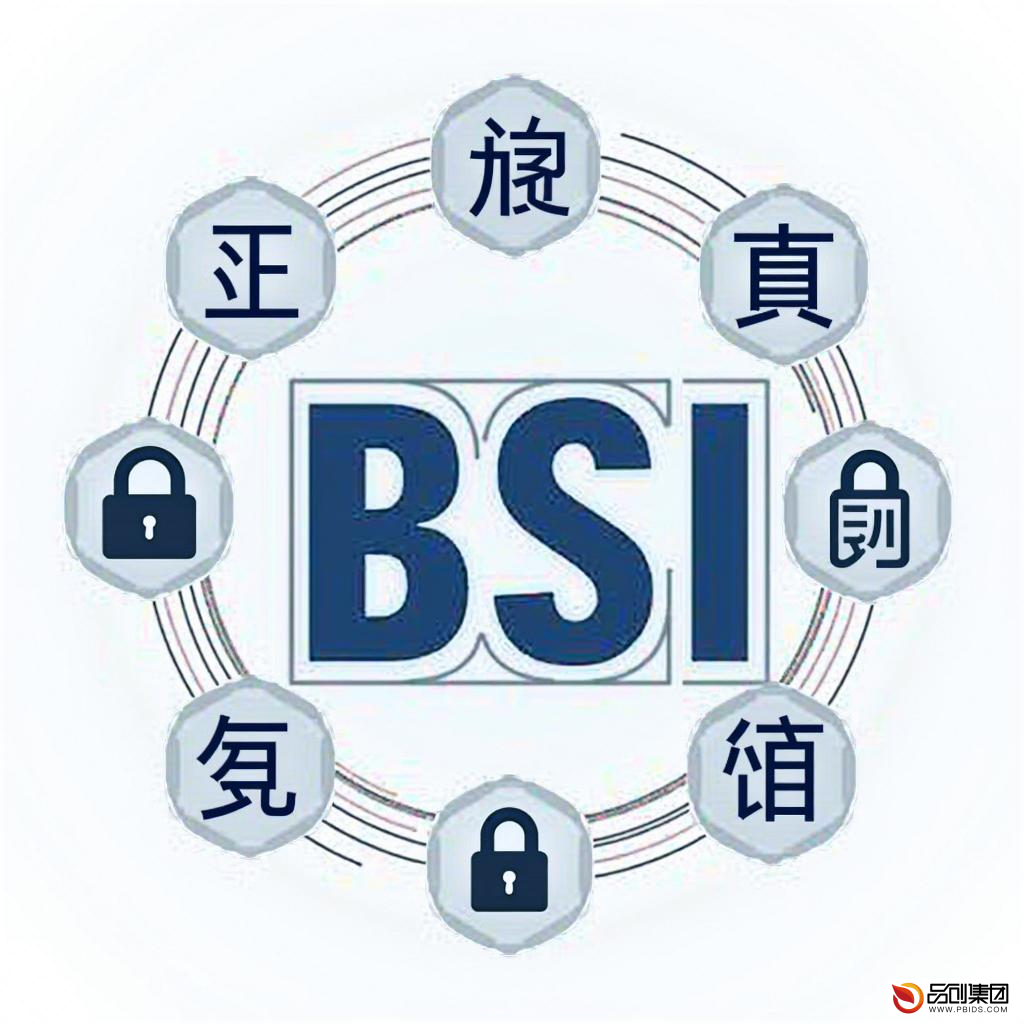 德国联邦信息安全办公室:守护数字世界的坚强盾牌